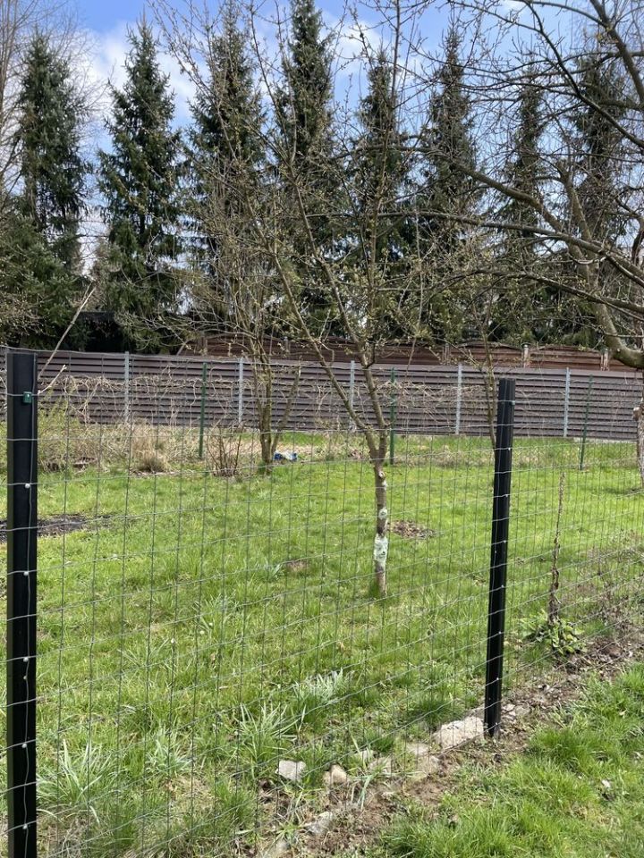 Działka rod Nowy Sącz. Zdjęcie 6