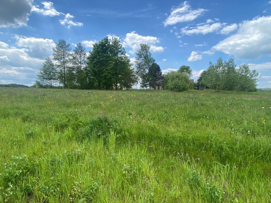 Działka budowlana Szalowa