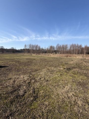 Działka budowlana Śliwice. Zdjęcie 1