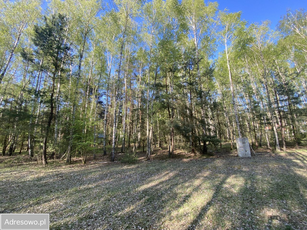 Działka budowlana Skórka. Zdjęcie 6