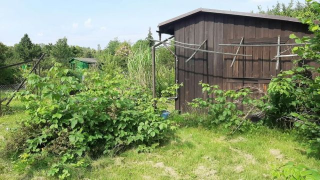 Działka rekreacyjna Jelenia Góra Zabobrze. Zdjęcie 1