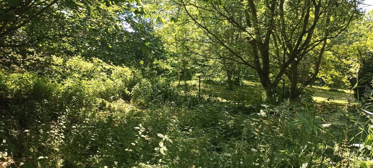 Działka siedliskowa Borkowice. Zdjęcie 6