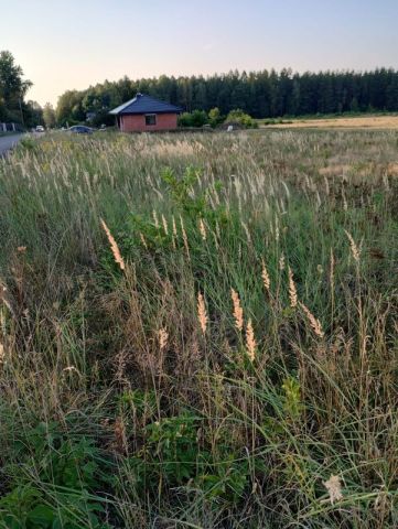 Działka budowlana Aleksandria Aleksandria Pierwsza, ul. Górna. Zdjęcie 1