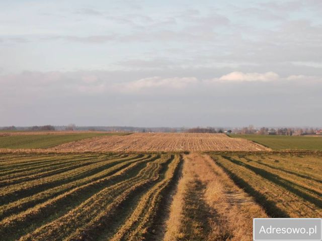 Działka rolna Mokrsko. Zdjęcie 1