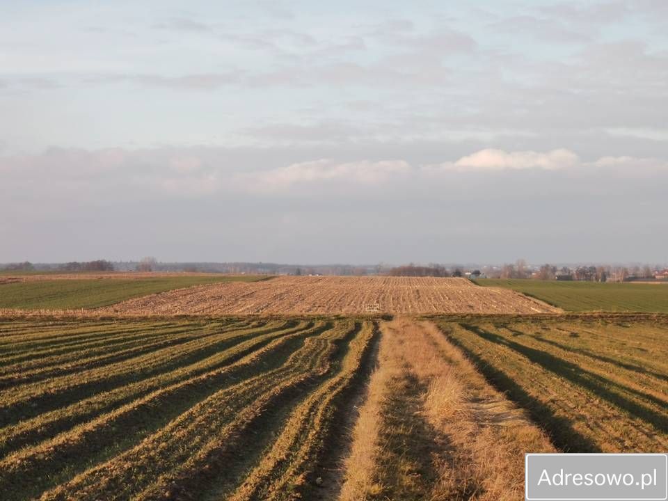 Działka rolna Mokrsko