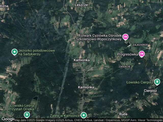 Działka leśna Kamionka. Zdjęcie 1