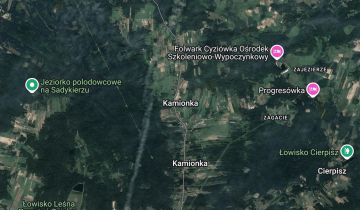 Działka leśna Kamionka