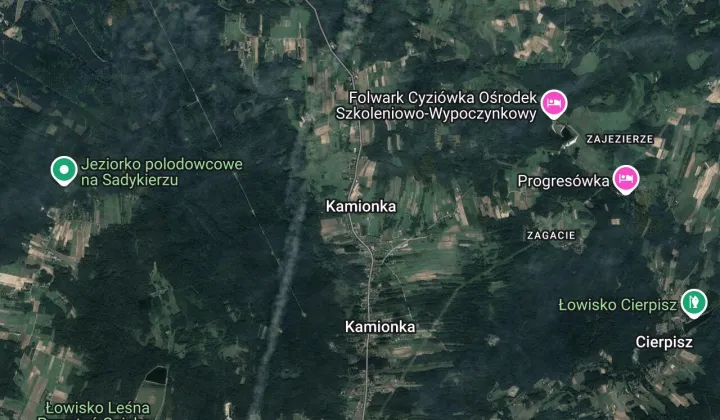 Działka leśna Kamionka