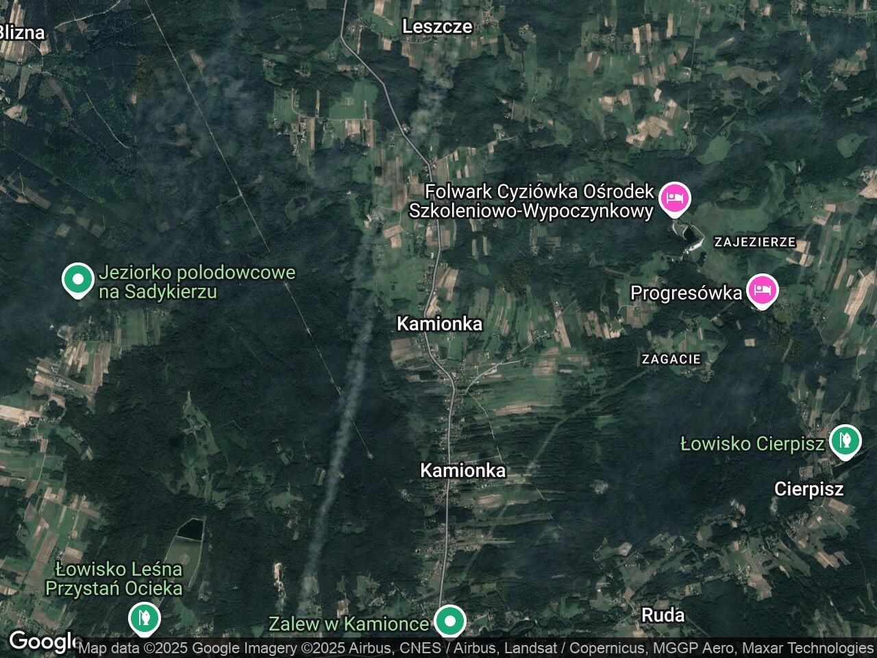 Działka leśna Kamionka