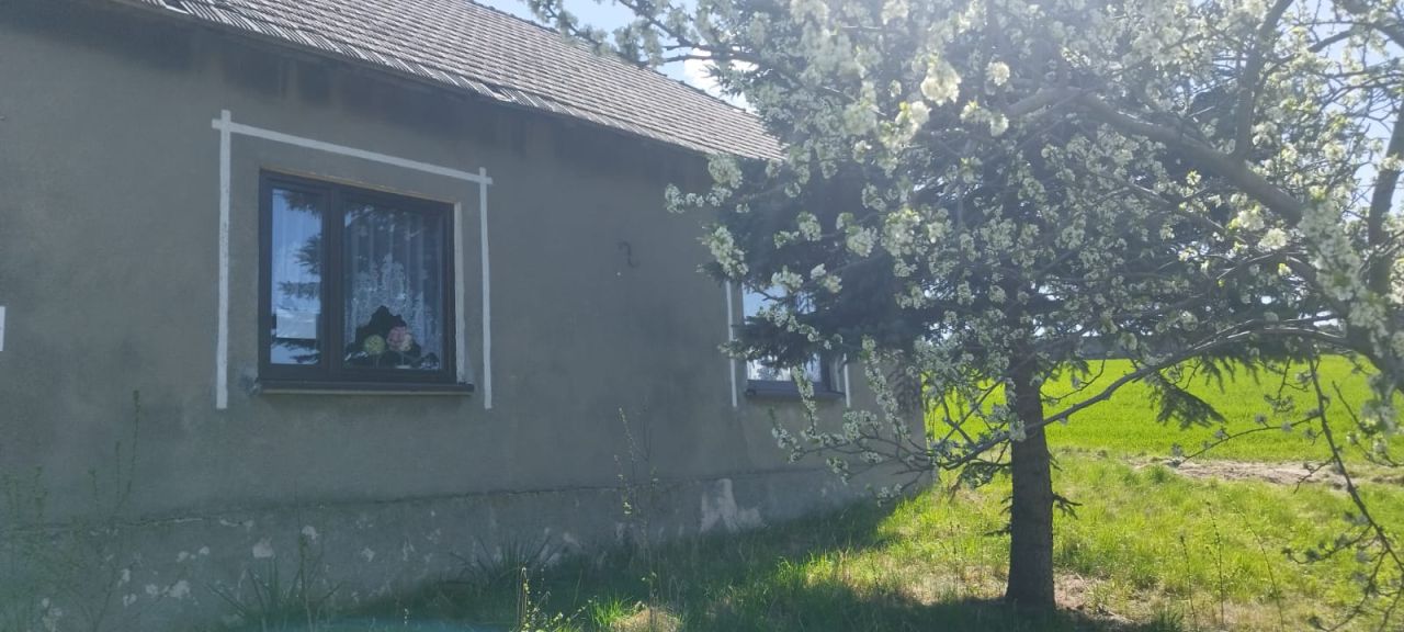 dom wolnostojący, 2 pokoje Łany Wielkie Zakościele. Zdjęcie 5