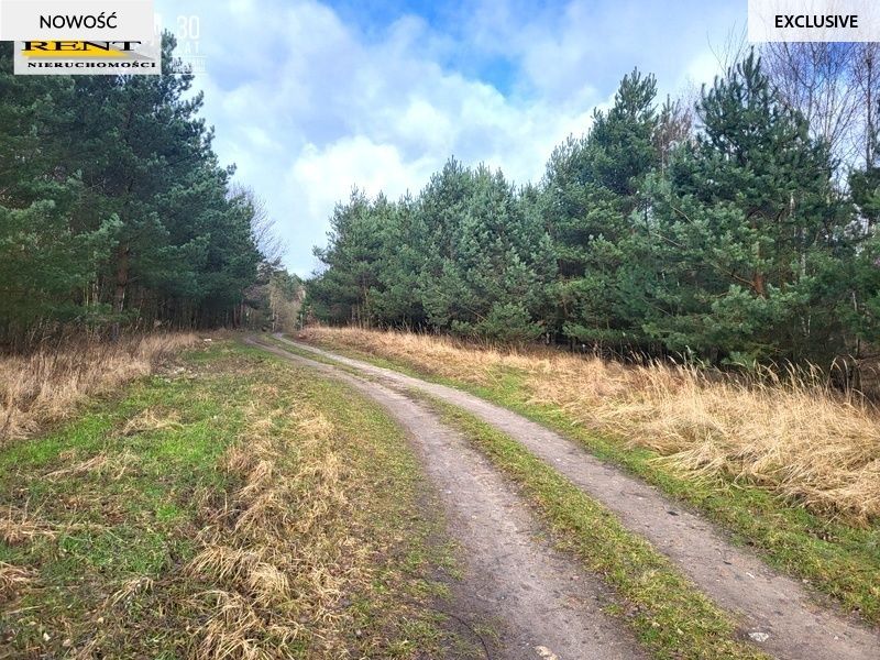 Działka rekreacyjna Chłopowo. Zdjęcie 4