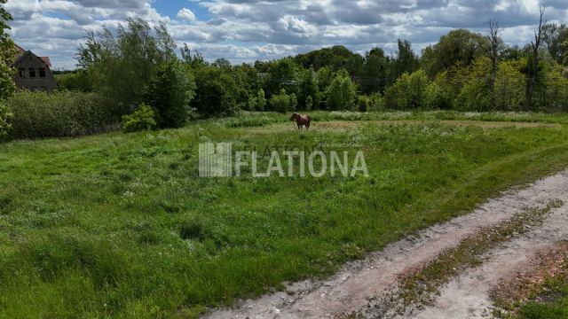 Działka rolna Dalwin. Zdjęcie 1