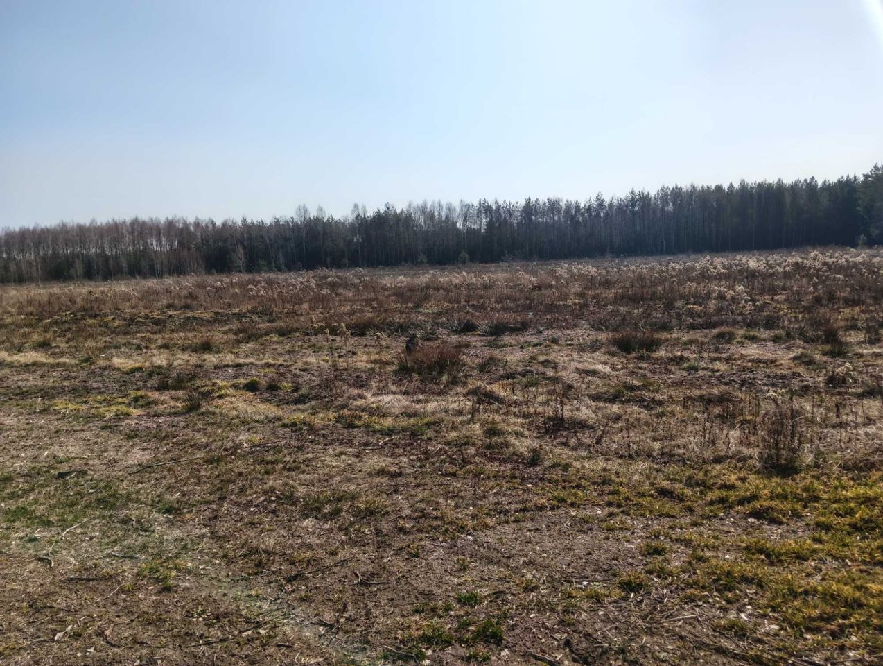 Działka budowlana Wysychy. Zdjęcie 5