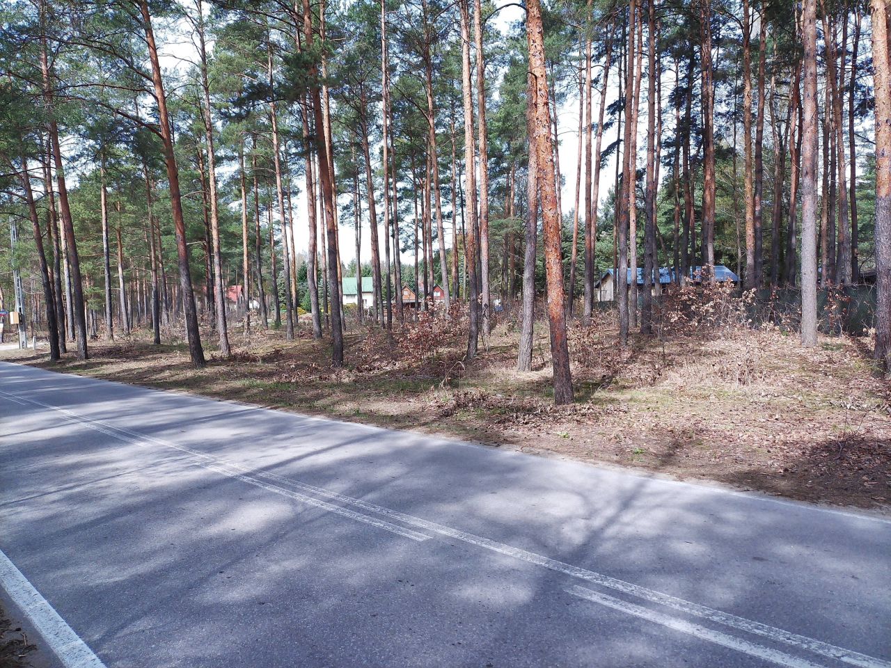 Działka budowlana Marynino, Sosnowa. Zdjęcie 13