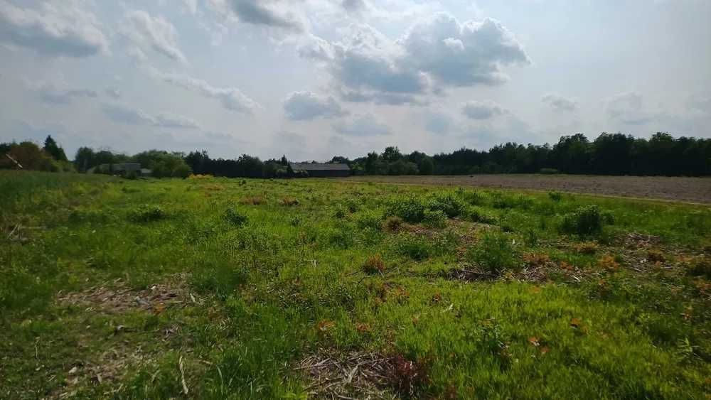 Działka rolno-budowlana Leśniczówka. Zdjęcie 5