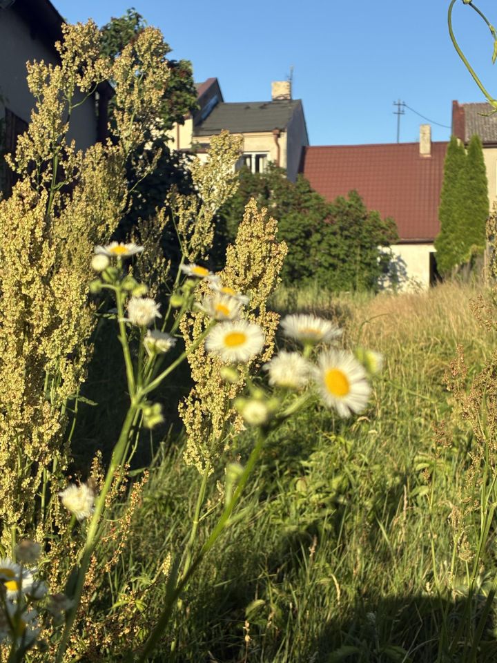 dom szeregowy, 4 pokoje Ślesin, ul. Żwirki i Wigury. Zdjęcie 8