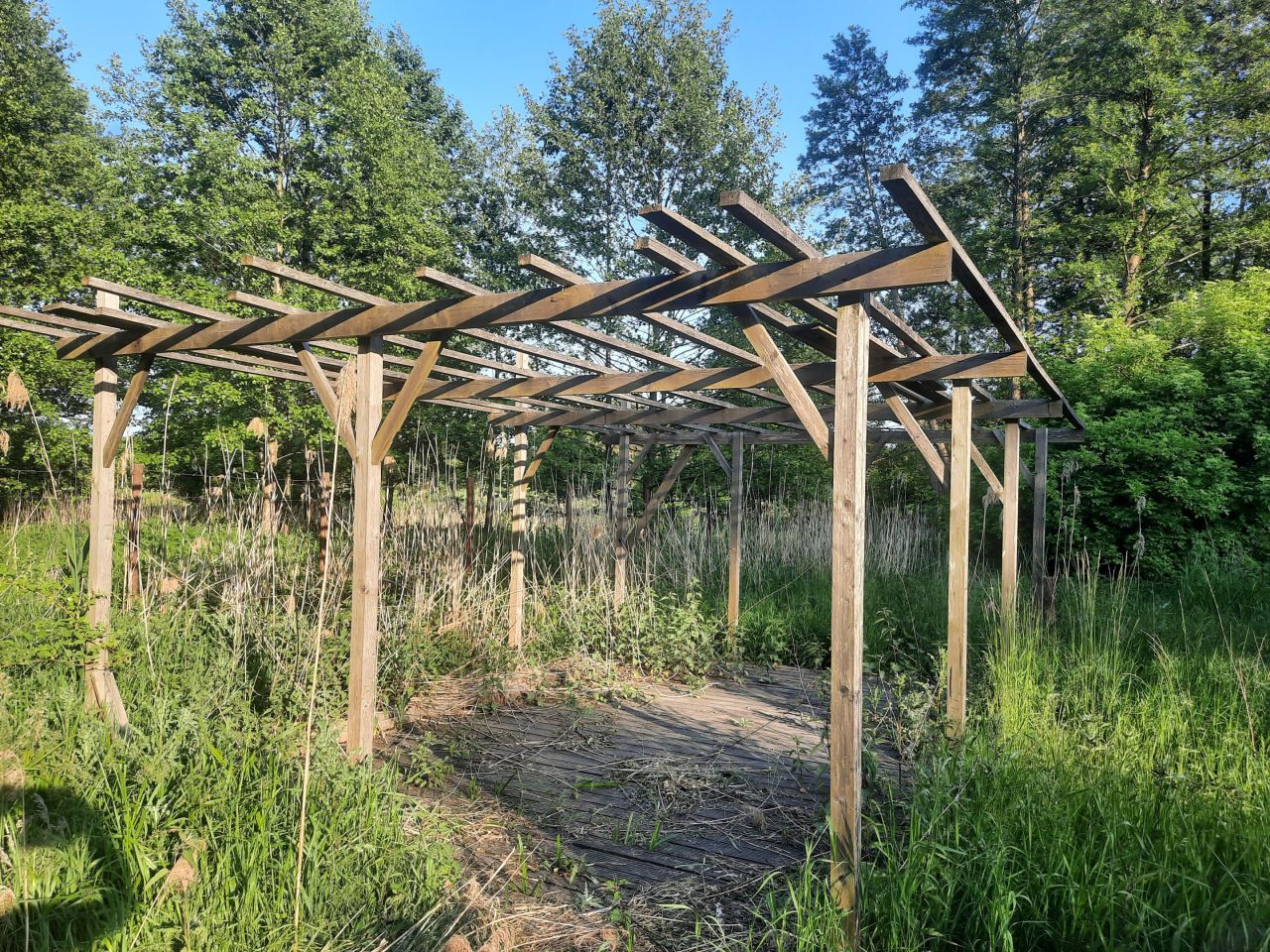 Działka rekreacyjna Minikowo. Zdjęcie 10