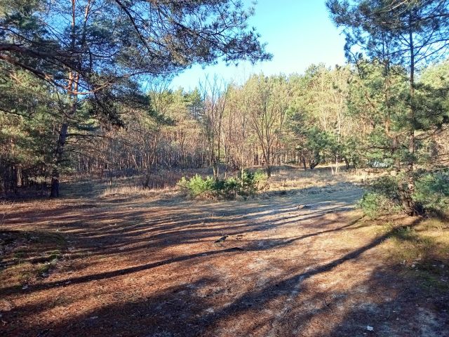 Działka budowlana Otwock Świder, ul. Grunwaldzka. Zdjęcie 1