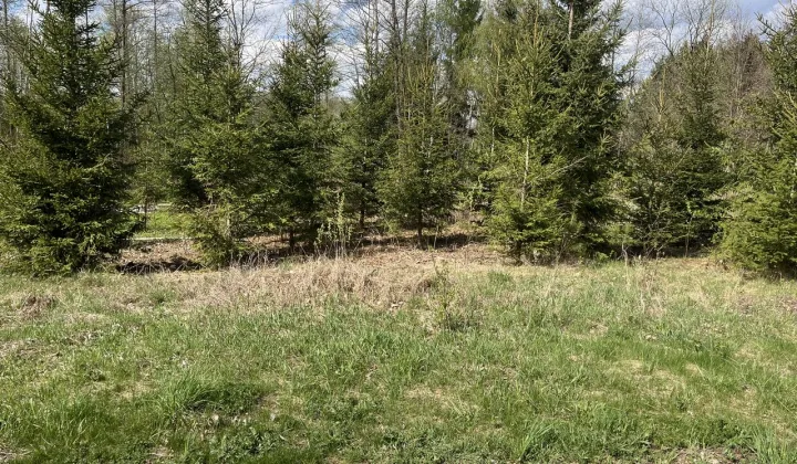 Działka Grzegrzółki