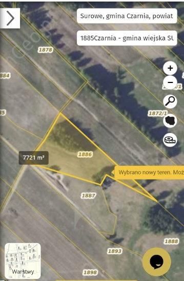 Działka rolna Surowe. Zdjęcie 3