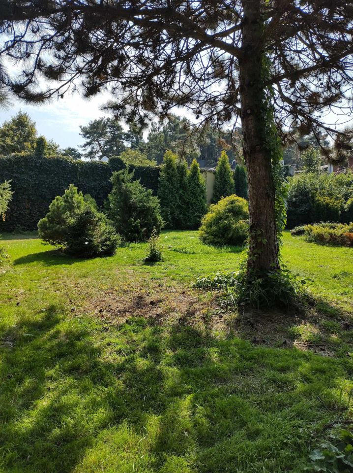 dom wolnostojący, 3 pokoje Łódź Bałuty. Zdjęcie 4