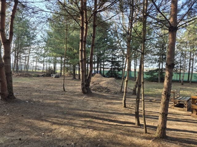 Działka budowlana Kębliny, ul. Parafialna. Zdjęcie 1