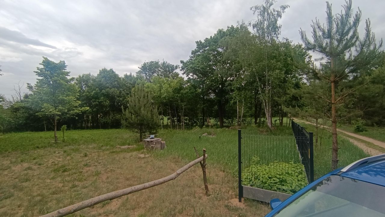 Działka siedliskowa Krynickie. Zdjęcie 8