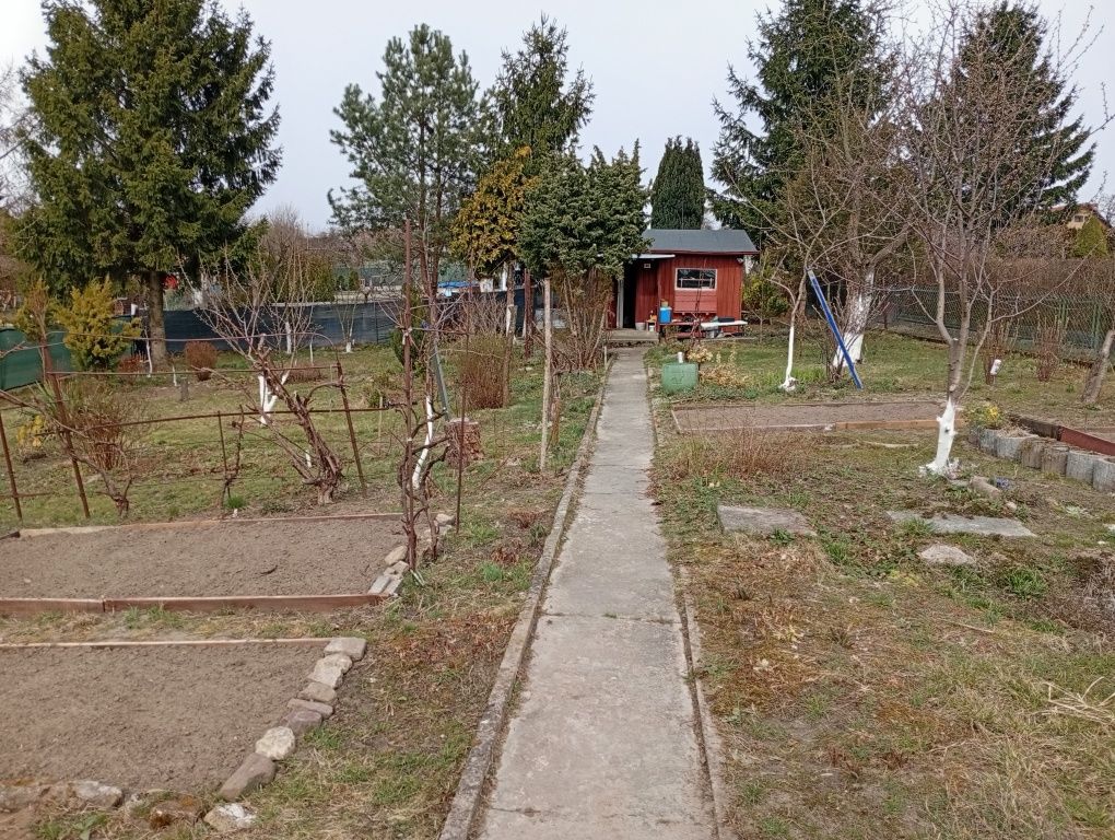 Działka rod Gorzów Wielkopolski. Zdjęcie 3