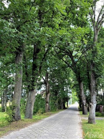 Działka inwestycyjna Celestynów, ul. Laskowska. Zdjęcie 7