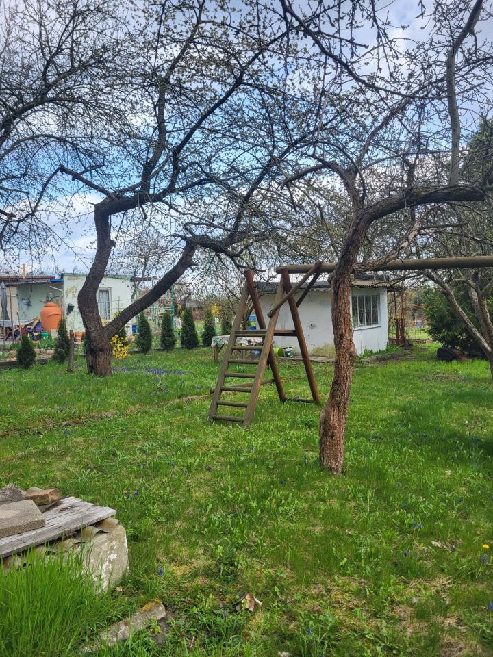 Działka rekreacyjna Żary, ul. Pszenna