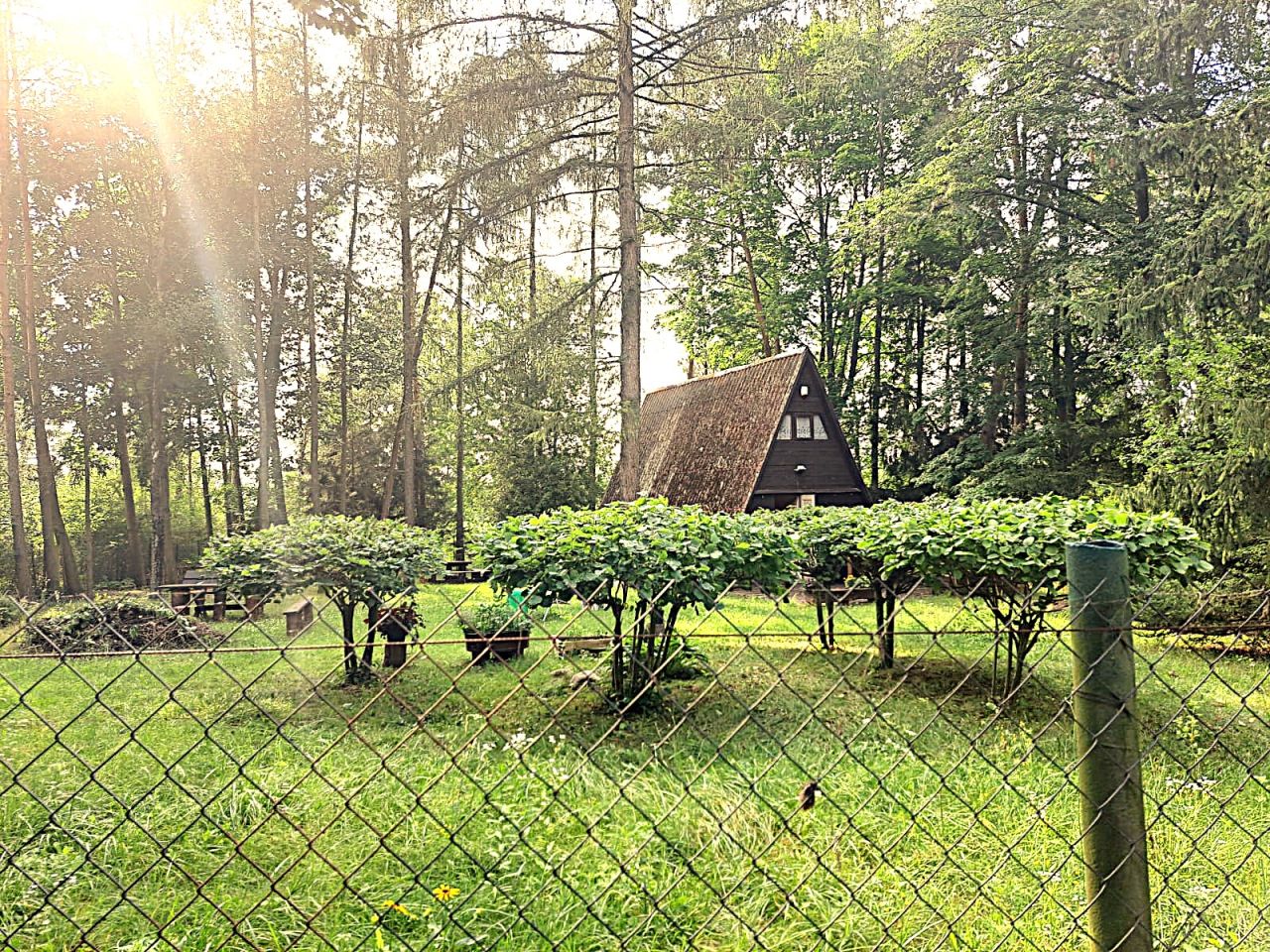 Działka rekreacyjna Zaborze. Zdjęcie 5