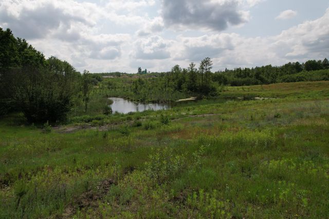 Działka rolno-budowlana Chojno. Zdjęcie 2