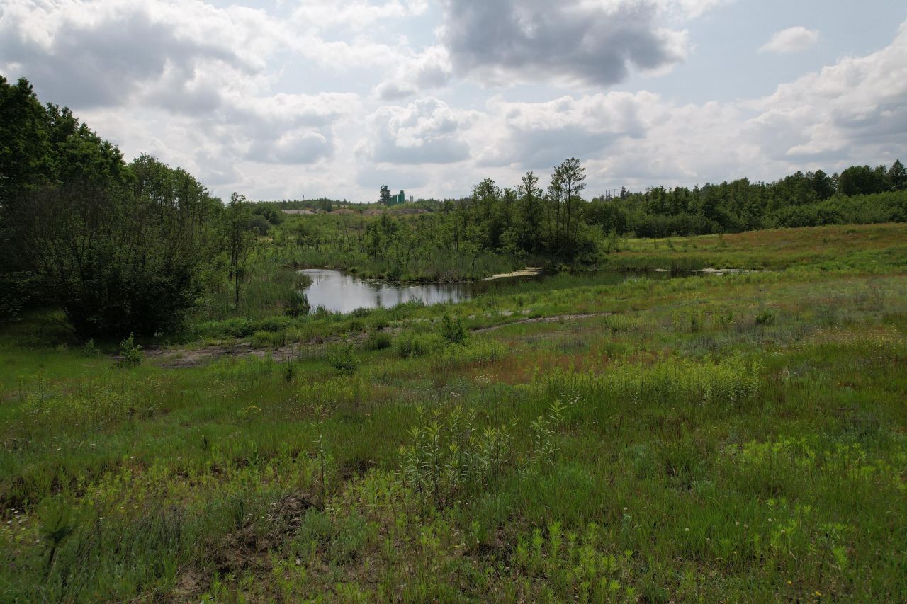 Działka rolno-budowlana Chojno. Zdjęcie 2
