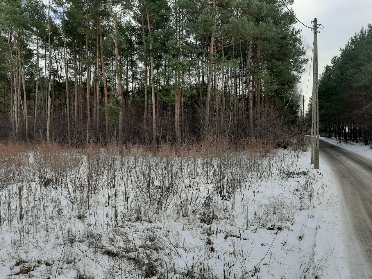 Działka budowlana Józefów Rycice, ul. Wiązowska. Zdjęcie 5