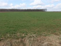 Działka rolno-budowlana Przeździecko-Drogoszewo. Zdjęcie 3