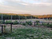 Działka rolno-budowlana Zbrzyca. Zdjęcie 4