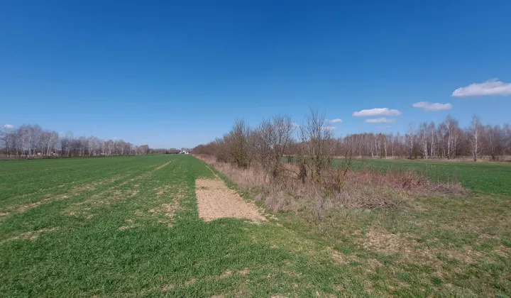 Działka rolno-budowlana Gołąb, ul. Błotna