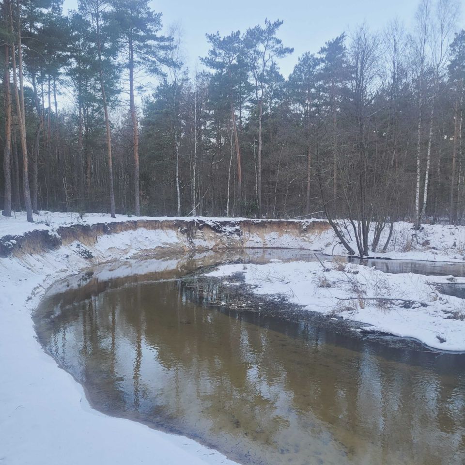 Działka budowlana Rokitnica. Zdjęcie 7