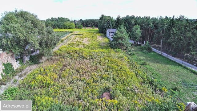 Działka budowlana Michałowice-Wieś, ul. Kasztanowa. Zdjęcie 1