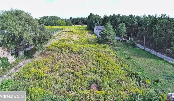 Działka budowlana Michałowice-Wieś, ul. Kasztanowa