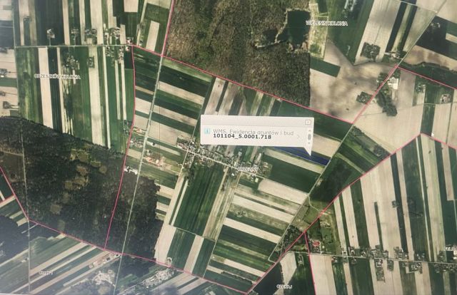 Działka rolna Brzeziny. Zdjęcie 1