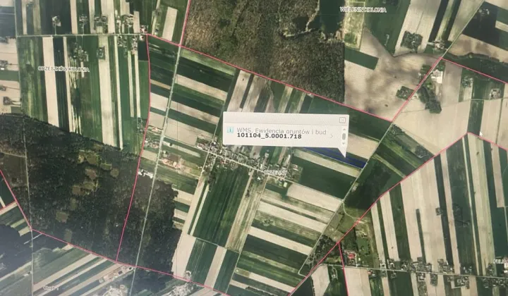 Działka rolna Brzeziny