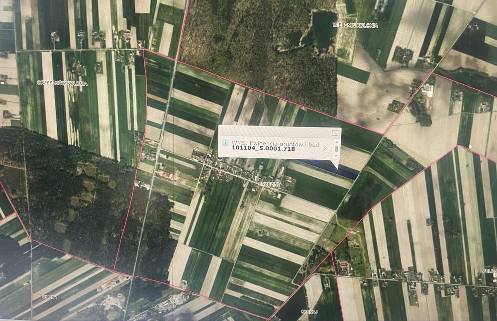 Działka rolna Brzeziny. Zdjęcie 1