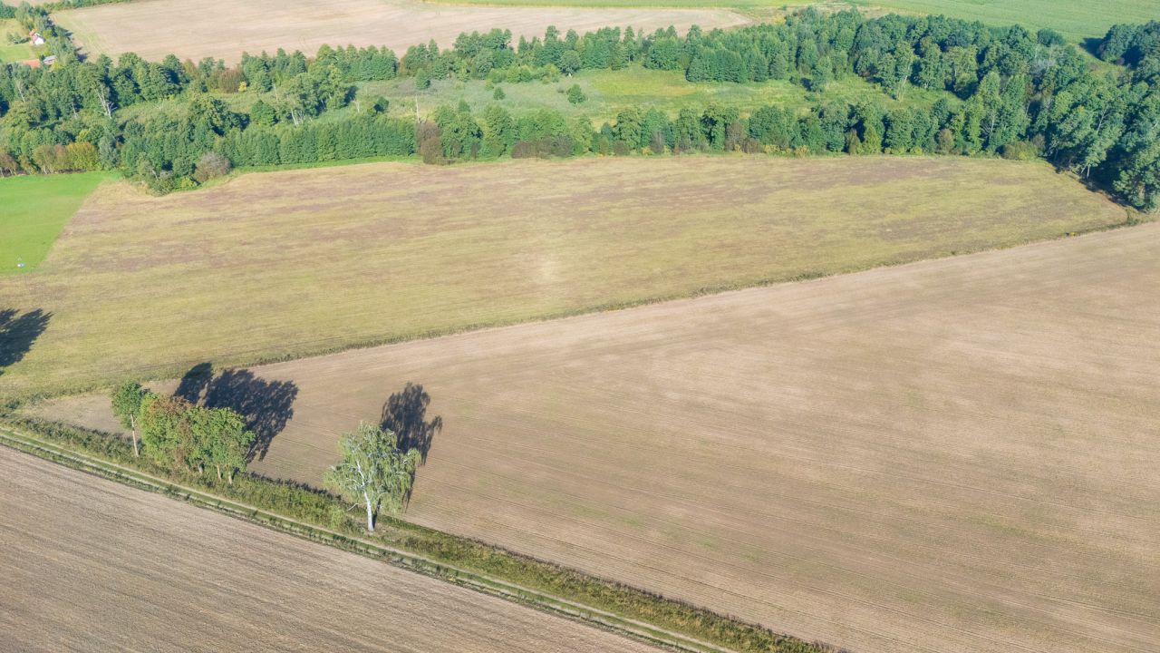 Działka budowlana Wierzbowo. Zdjęcie 9