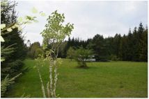 Działka rolno-budowlana Zapieczki. Zdjęcie 1