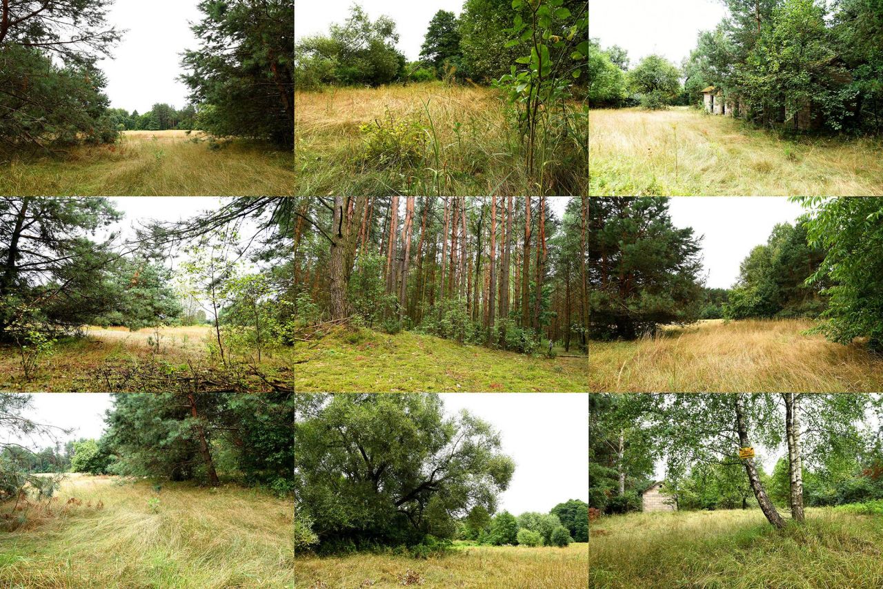 Działka budowlana Turna Duża. Zdjęcie 41