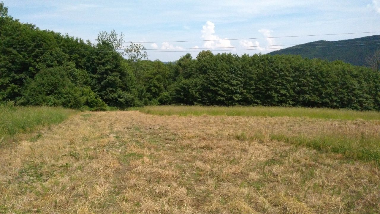 Działka inna Gorzeń Górny. Zdjęcie 11