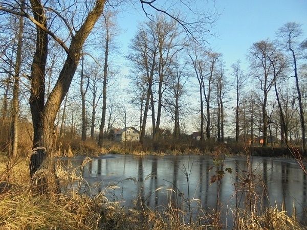 dworek, 7 pokoi Kraków Sidzina, ul. Mieczysława Wrony. Zdjęcie 16