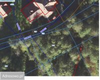 Działka rolna Zdziechowice. Zdjęcie 1