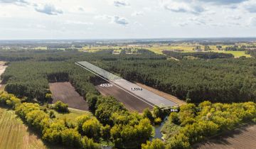 Działka leśna Maurzyce